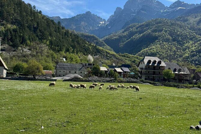 Albanian Alps and Theth Village Day Tour from Tirana - The Blue Eye hike: 2.5 km of rocky beauty and a swimming reward