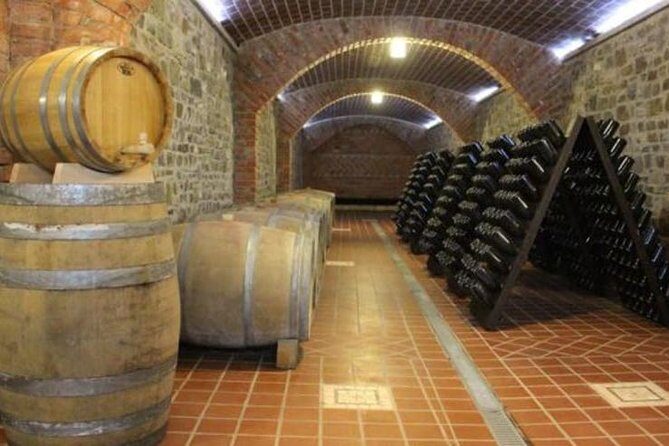BOGOVA WATERFALL & WINERY TOUR from Berat by 1001 AA - Nurellari Winery cellar: the tasting that focuses on Berat grapes