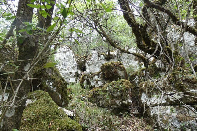 BOGOVA WATERFALL & WINERY TOUR from Berat by 1001 AA - Who this tour fits best (and who might want to skip it)