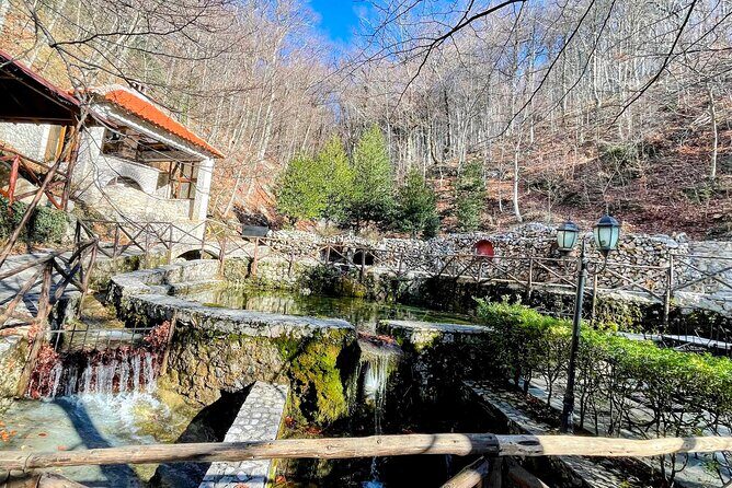 Dajti Mountain & Shengjergj Waterfall Day Trip on Land Rover - Stop 3: Dajti National Park for Flora, Fauna, and Outdoor Time