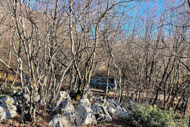 Dajti Mountain & Shengjergj Waterfall Day Trip on Land Rover - What’s Actually Included (and Why It Can Be Worth $89.89)