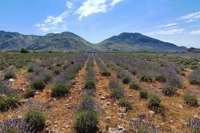 Day tour of Theth from Tirana - Price and value: what you pay for, and what you still fund yourself