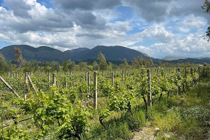 Experience Blue Eye , Lekuresi Castle and Taste Traditional Albanian Wine - The Blue Eye spring: why the color grabs you fast
