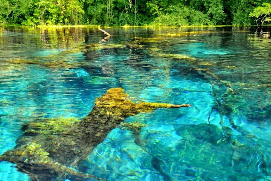 From Durres : Blue Eye, Ksamil Islands, and Saranda Day Tour - Price and value: does $81 make sense for this route?