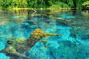 From Durrës or Golem: Ksamil, Saranda and Blue Eye Tour - Sarandë’s Ionian promenade and port stop: the Corfu vibe fast