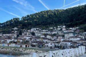 From Tirana: Berat UNESCO & Belshi Lake Full-Day Tour - Onufri Museum (€5 Extra): Quick, Worth It If Icons Matter