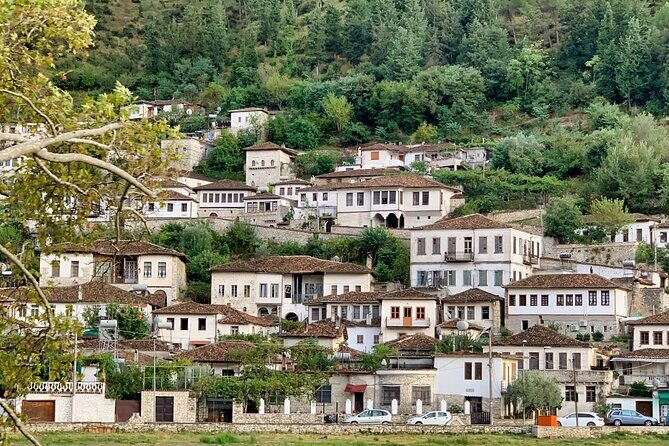 From Tirana; Semi - Private Day Trip to Berat & Belsh Lake - Onufri Museum: the reddish color story you’ll keep thinking about