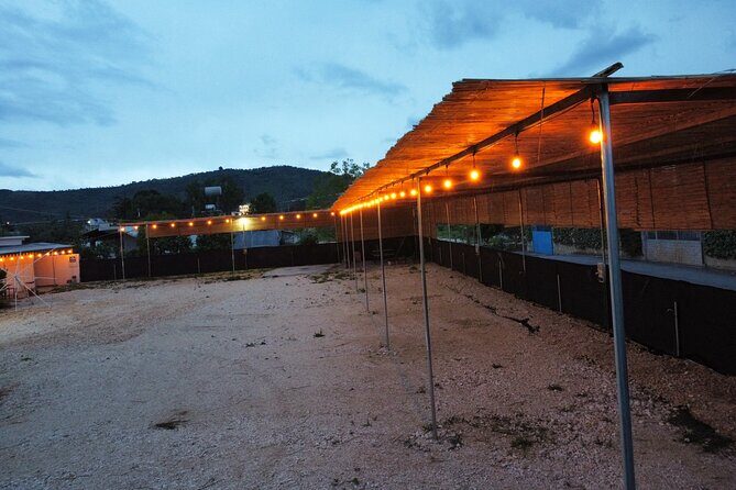 Happy Camping Berat - Night Safety and the Welcome Factor