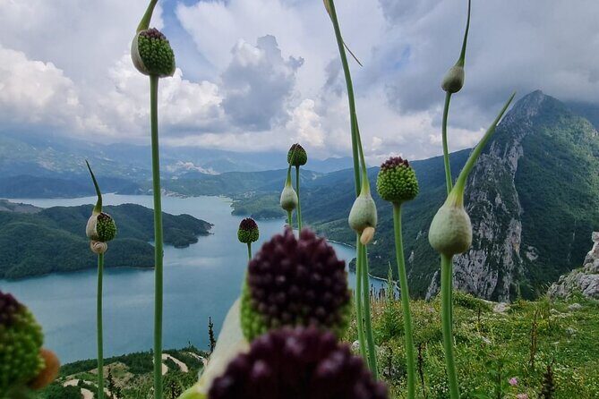 Hiking to Gamti, Bovilla Lake and Kruja Day Trip from Tirana - Lunch at Bovilla: budget it early (and pick smart)
