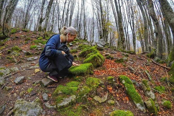 Hiking Tour of Valbona, Theth & Blue Eye in 3 Days from Tirana - Koman Lake to Valbona: why the early start helps you get real trail time