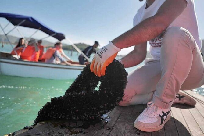Ksamil: Mussel Sailing Tour with Food and Drink in Albania - Stop 3: The Return Sail and How to Fit in Butrint