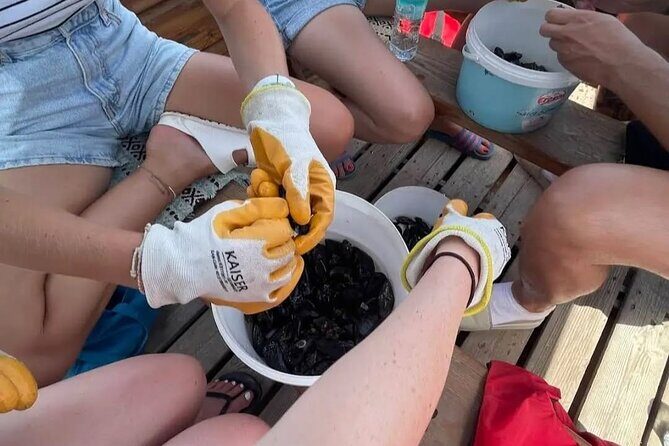Ksamil: Mussel Sailing Tour with Food and Drink in Albania - Price and Value: Is $67.72 Worth It?