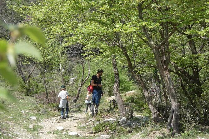 Osumi Canyons and Bogova Waterfall from Berat - Tour by 1001 Albanian Adventures - Lunch break and the practical reality of timing