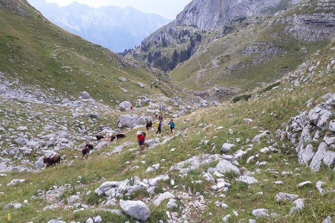Self - Guided Peaks of the Balkans tour in 7 days - Day 4: Cerem’s snowy canyon feel and the optional Zla Kolate climb
