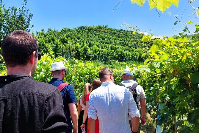 Vineyards, Albanian Wine Tasting & Boat Tour from Tirana/Durres - Key Points Worth Knowing Before You Go