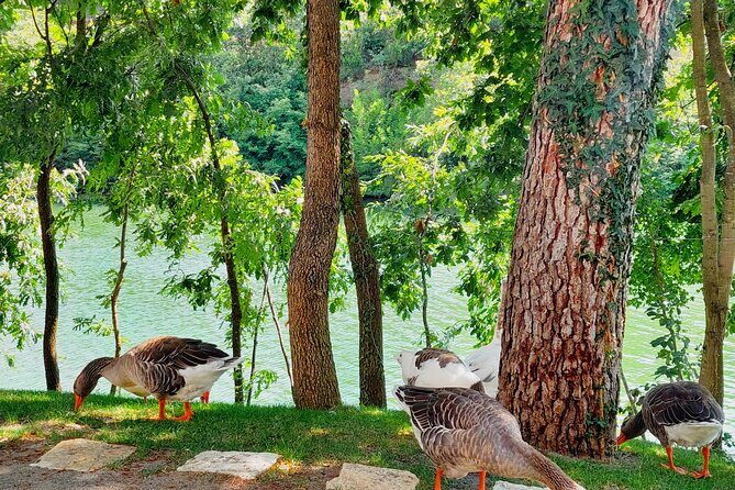Vineyards, Albanian Wine Tasting & Boat Tour from Tirana/Durres - Small Group Size (Up to 20): Why It Changes the Feel
