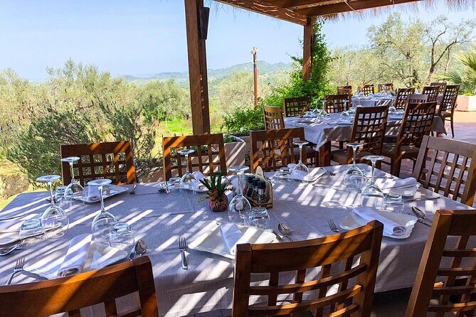 Wine Tasting & Vineyards Escape near Tirana - The Tasting Room: Three Wines, Snack Pairing, and a Sense of Place