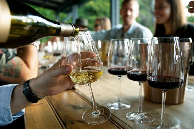 Wine Tasting & Vineyards Escape near Tirana - Vineyard Views and the Extra Time After the Pour