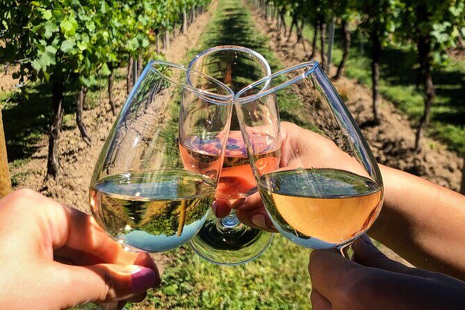 Wine Tasting & Vineyards Escape near Tirana - Price and Value: What $118.58 Gets You (and Why It Can Be Fair)
