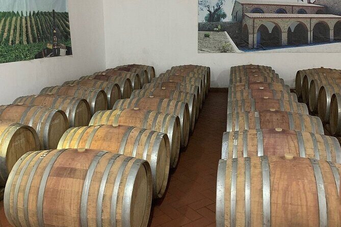 Wine Tasting & Vineyards Escape near Tirana - Who This Tour Suits Best in Tirana (and Who Might Skip It)