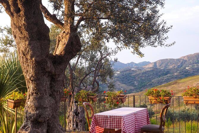 Wine Tasting & Vineyards Escape near Tirana - Should You Book This Tirana Wine Tasting & Vineyards Escape?