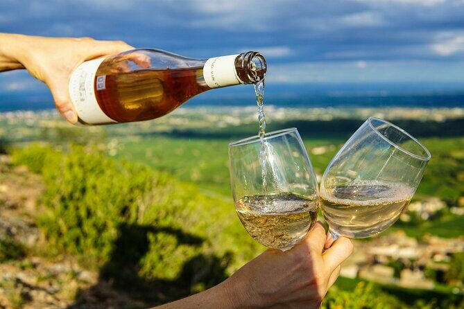 Wine Tasting & Vineyards Escape near Tirana - The Winery Visit: Vineyards, Native Grapes, and a Proper Cellar Look