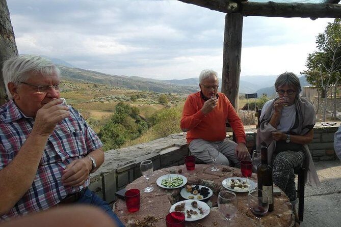 Winetasting tour in Alpeta winery - Roshnik village by 1001 Albanian Adventures - The vineyard-to-winery flow: what the visit is really like